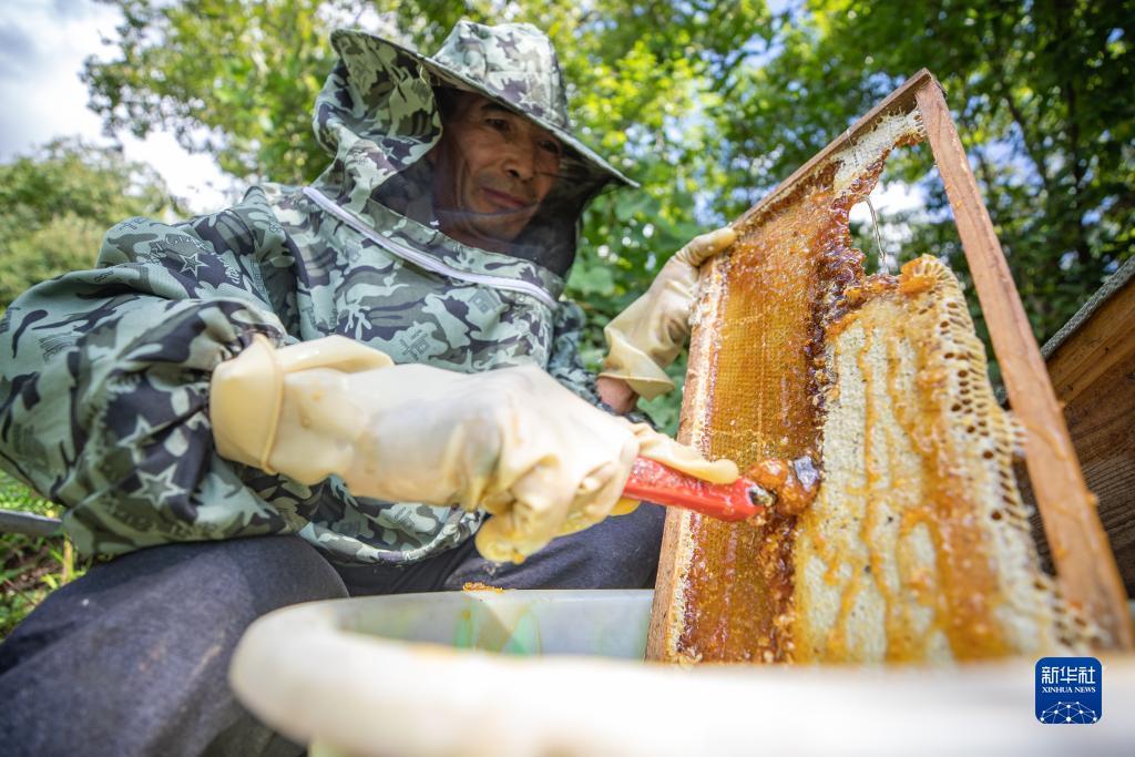 99游戏软件下载